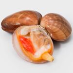 Clams Big