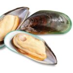 Green mussels