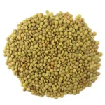 Green Lentils