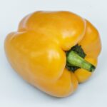 Yellow Bell Pepper